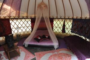 Tentes de luxe Camping Mille Etoiles : Yourte