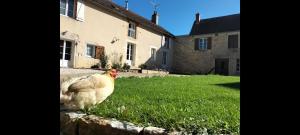 Maisons de vacances Le Moulin de la Motte - 12 personnes : photos des chambres