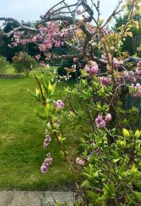 Kelvinside, Seahouses, 2 minute walkvillage