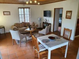 Aurora Bushbaby 1 - Koedoe