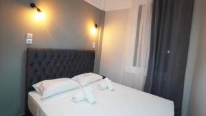 Athens City Themis 14