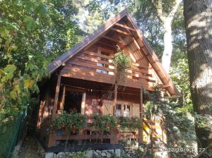 Chatki Saturnina i pokoje