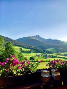 Appartement Sunnseit - Kitzbüheler Alpen