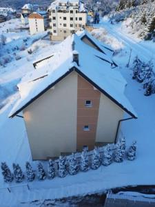 Apartments Villa Stars