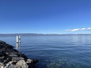 Studio spacieux au cœur dÉvian-les-Bains, balcon, proche centre - FR-1-498-58