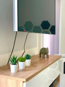 Esprit Cosy au centre historique