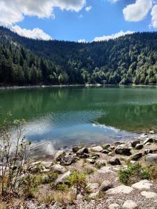 Maisons de vacances Maison Vosgienne 10p a 15min du Lac et des pistes : photos des chambres