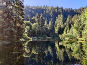 Maisons de vacances Maison Vosgienne 10p a 15min du Lac et des pistes : photos des chambres