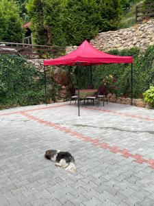 Casa Sebastian