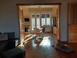 Old town Boheme Apartment