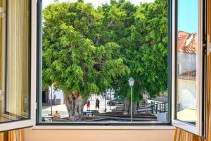 Largo dos Milagres, a Home in Madeira