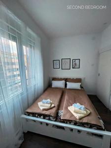 Allure of Belgrade (80m2-861ft2)