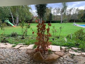 Appartements Appartement familial au bord de la Marne, jardin tropical , piscine, tennis, terrasse, parking gratuit proche Disneyland : photos des chambres