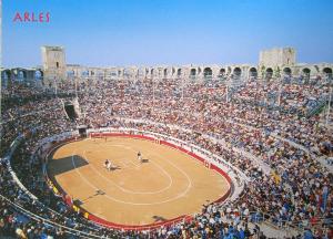 Chalets Les Oliviers de Camargue : photos des chambres