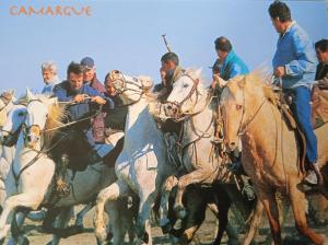 Chalets Les Oliviers de Camargue : photos des chambres