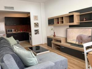 LAROKA HOUSE Rin Grand Residence Modern Apartment