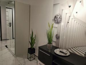 APARTAMENT KOSMOS GORZOW