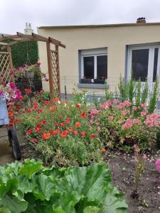 Maisons de vacances Les coquelicots en baie de somme : photos des chambres