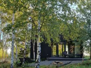 Drewniany dom w brzozowisku - Będkowice