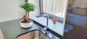 A Window to Porto St. Helena