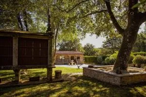 Villacambote5 - Zobra