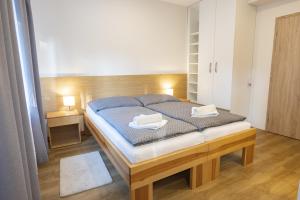 Double or Twin Room room in Harmony Resort Javorník