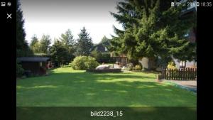 Ferienhaus-Schönwald im Herzen des Schwarzwaldes 1Zimmer-Wohnung+Terrasse App1