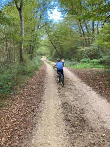 Maisons de vacances Gite en pleine nature : photos des chambres