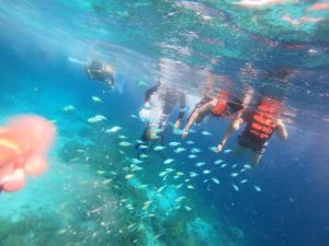 Check out this beautiful 5 bed villa with pool!!