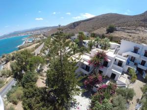 Hotel - Apartments Delfini Chania Greece