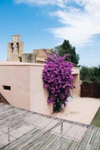Can Camades - Casa amb jardí i piscina a LEmpordà