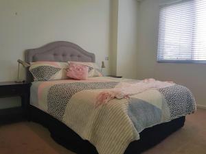 Glebe Park 145 Canberra City ACT