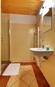 Family apartments V Zátiší