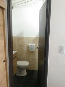 Bosque de Niebla Birding & Nature