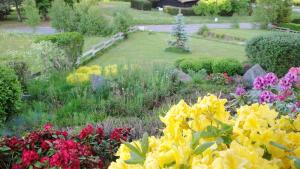 Appartements Appartement spacieux a Xonrupt-Longemer + Sauna : photos des chambres