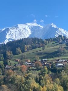 Chalets CHALET MONT BLANC : photos des chambres