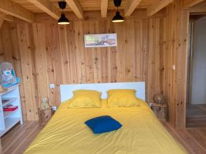 :Le tchanqué du bassin darcachon