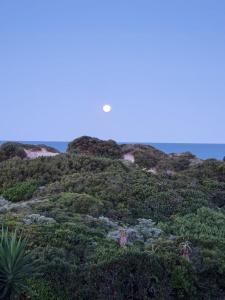 House Haven Guesthouse