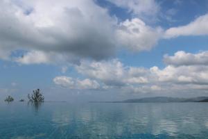 Trivik Hotels & Resorts, Chikmagalur