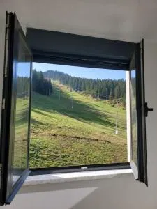 Apartman Green - Ravna planina
