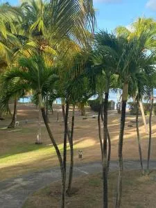 Studio Le Frangipanier - 圣弗朗索瓦