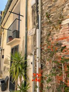 Maisons de vacances Maisonnette au coeur des faubourgs de Collioure : photos des chambres