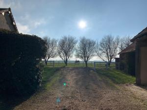 Maisons de vacances L-Oliviade : photos des chambres