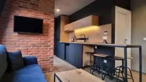 Apartman WINTER