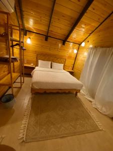 أكواخ ريف الطائف