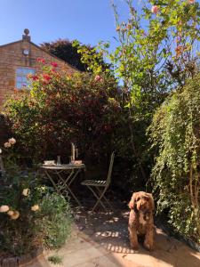 Grooms Lodge, Chipping Campden - Taswell Retreats