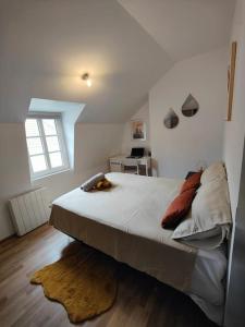Appartements La feline - Duplex - Vieux Valenciennes - Familial : photos des chambres