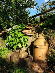 Casas Rurales El Cerro y El Cerezo