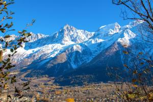 Chalets Chalet 8 pers Massif du Mont-Blanc - Les Houches : photos des chambres