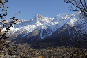 Chalets Chalet 8 pers Massif du Mont-Blanc - Les Houches : photos des chambres